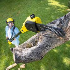 Best Leaf Removal  in Fulton, NY